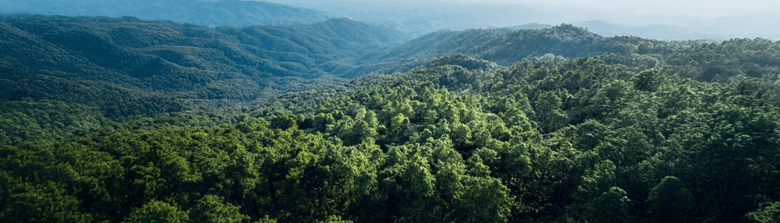 AI won’t fix telcos. Monetization will. 