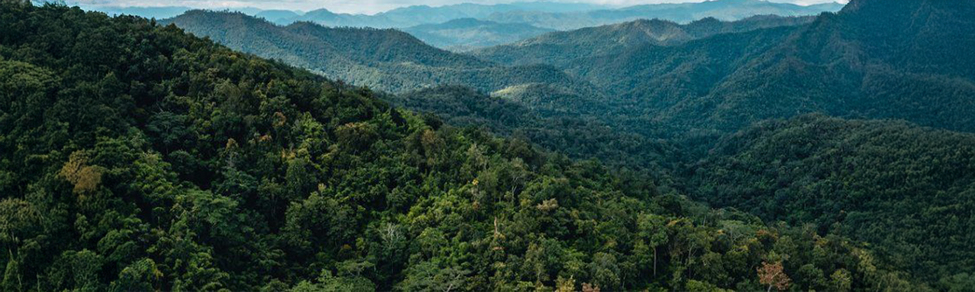 Join Telenity at MWC 2026: Driving Innovation, Agility, and Growth in Telecom!